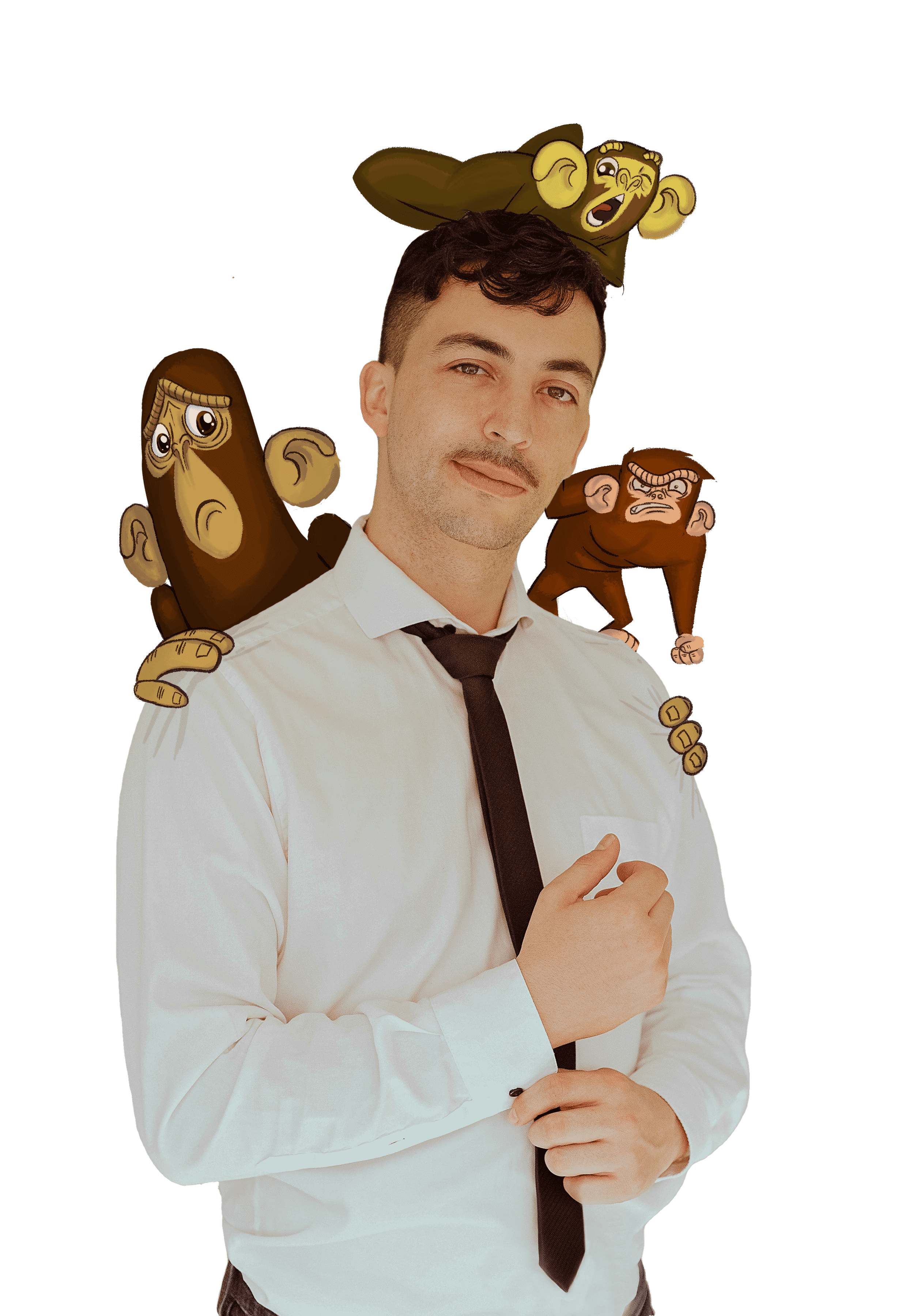 Picture of Danimonkey and his monkeys
